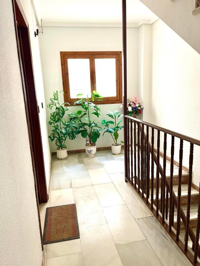 Captain Garcia Apartment Torrevieja Eksteriør billede